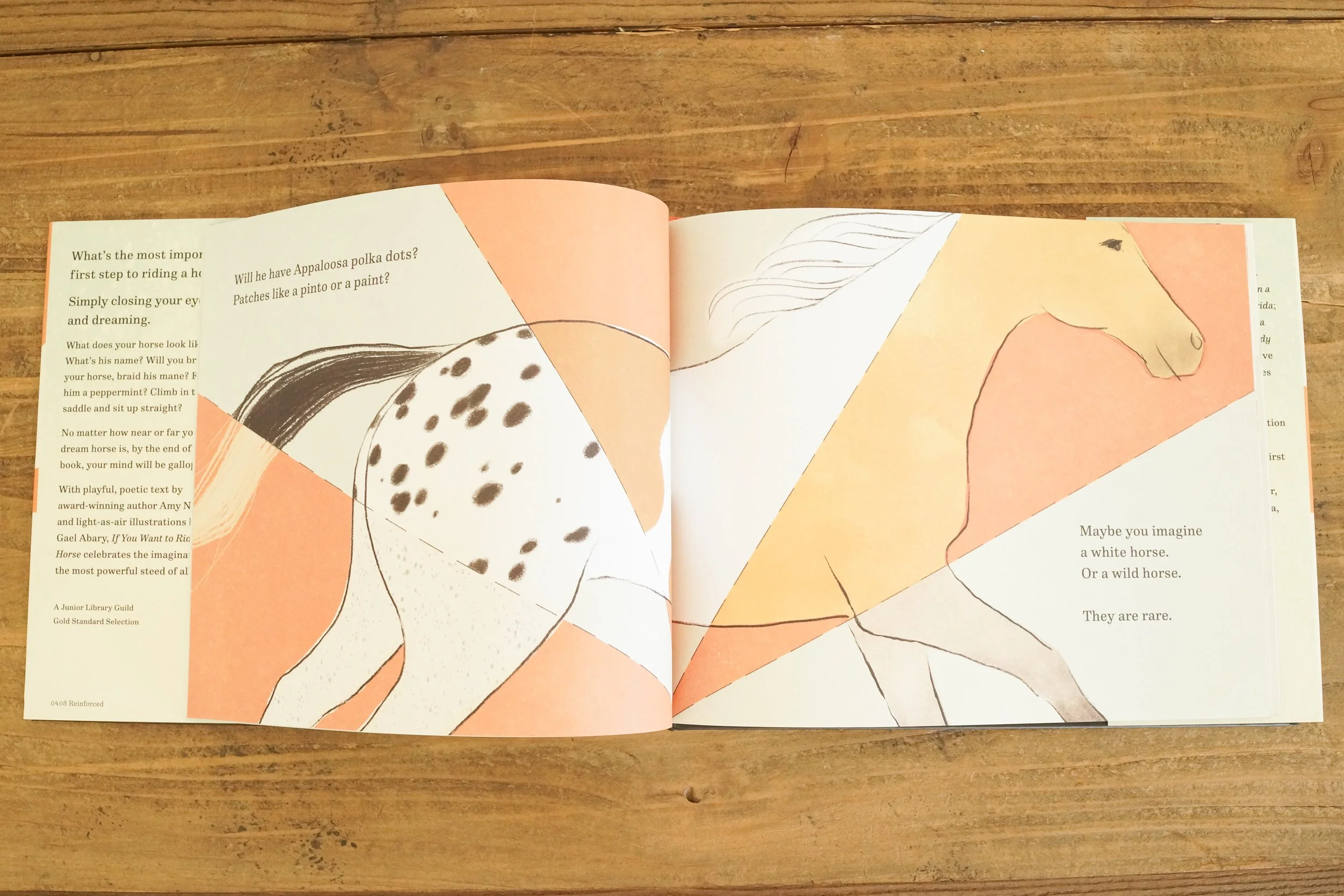 If You Want to Ride a Horse by Amy Novesky ISBN 9780823456956